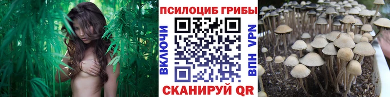 Псилоцибиновые грибы мицелий  даркнет сайт  Арзамас 